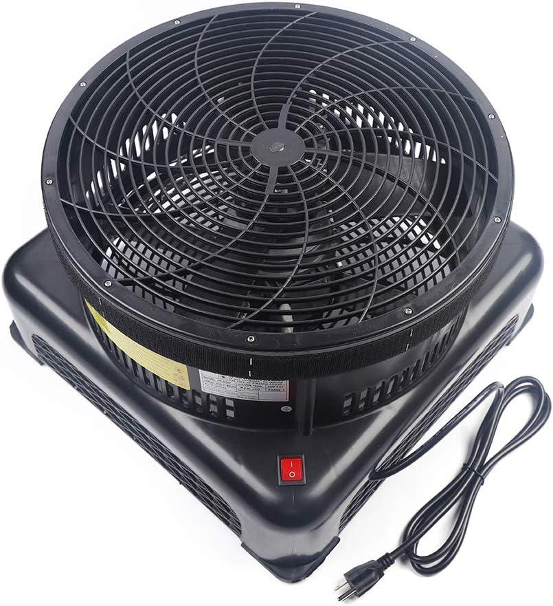 REKLAM BALONU FANI FN2